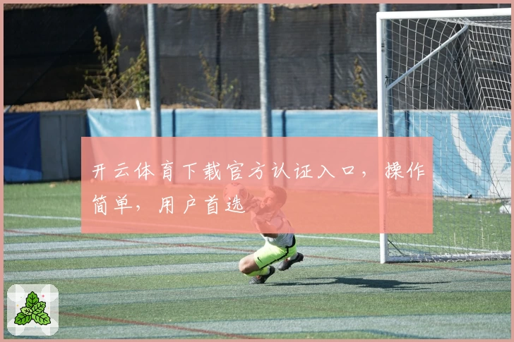 开云体育下载官方认证入口，操作简单，用户首选