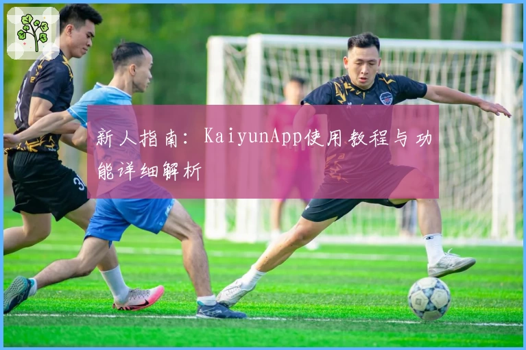新人指南：KaiyunApp使用教程与功能详细解析
